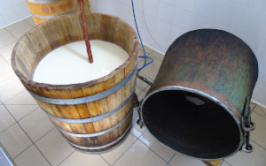 qualita Pecorino Siciliano DOP