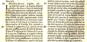 history plinius Pecorino Siciliano PDO