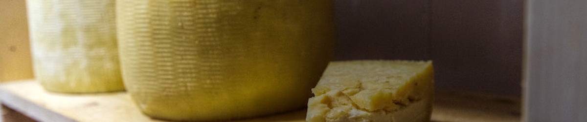 qualities Pecorino Siciliano PDO